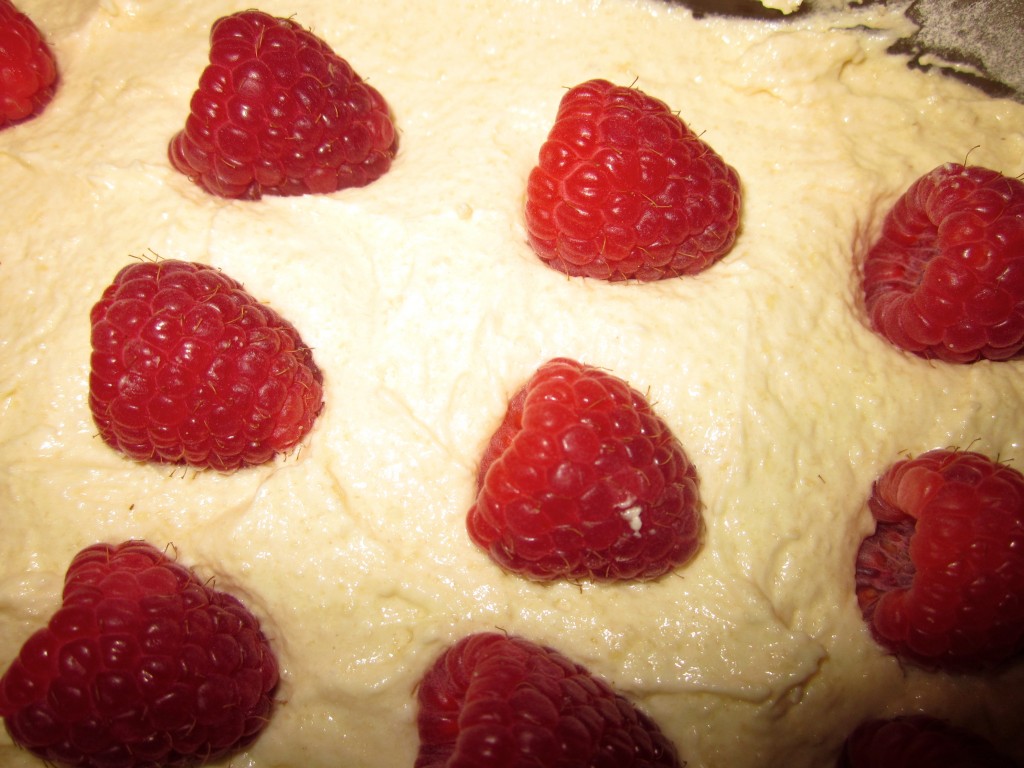 The raspberries are layer carefully on top of the batter ---- twice.